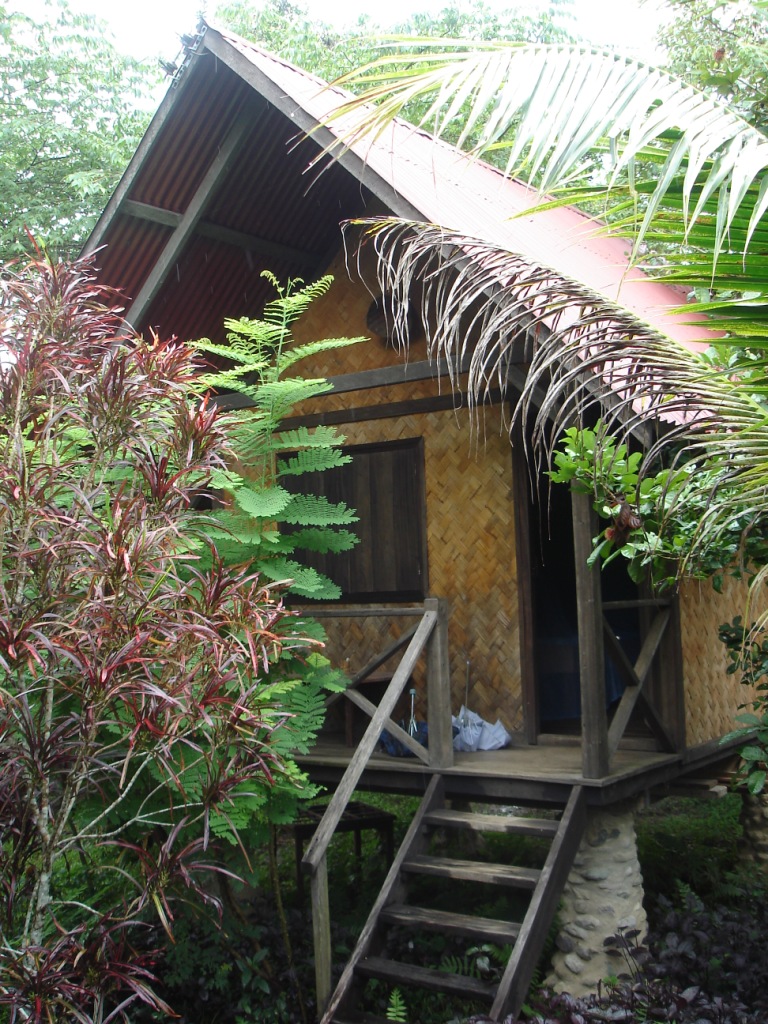 Recovering in Laos image 9