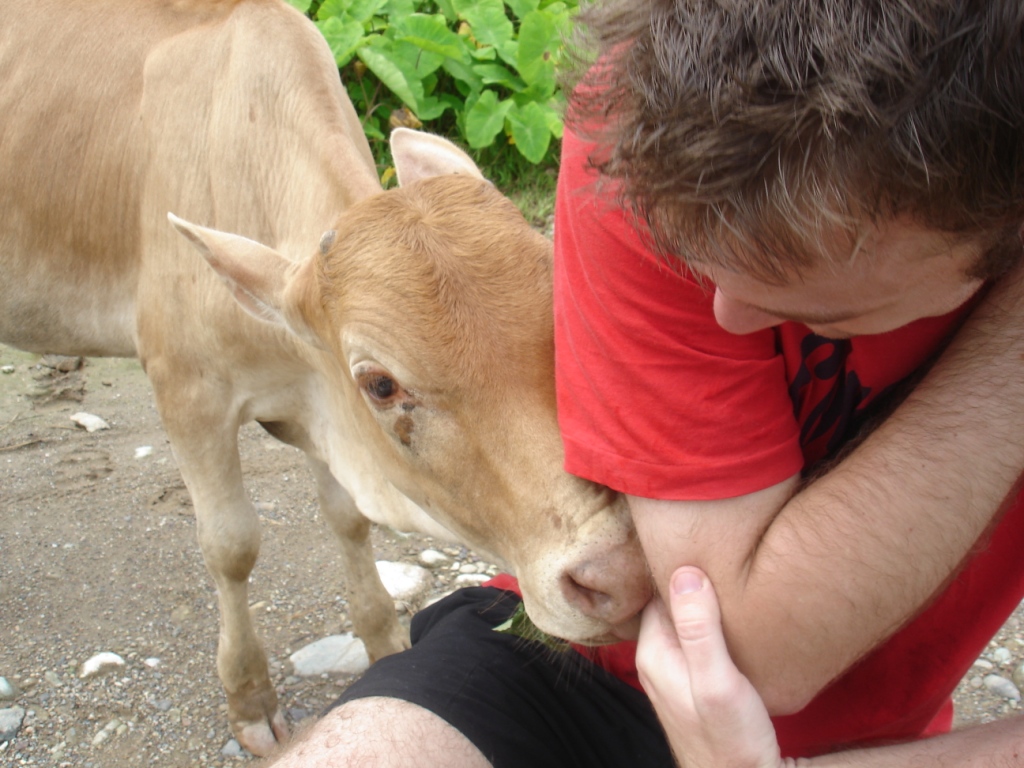 Recovering in Laos image 10