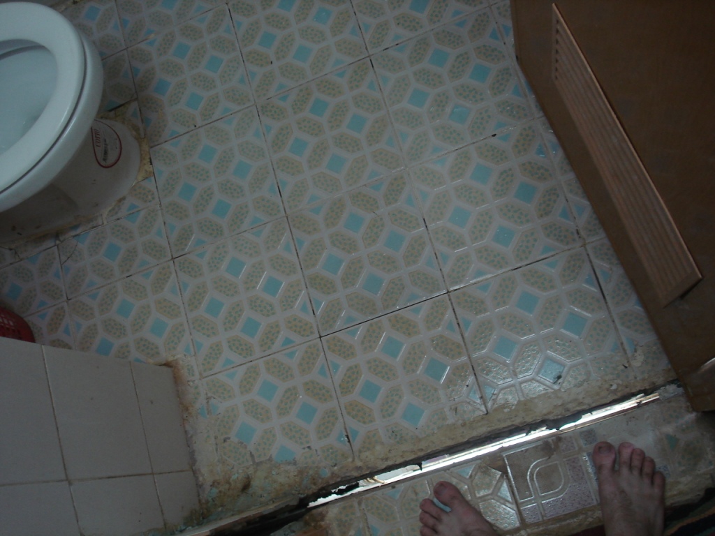 Recovering in Laos image 18