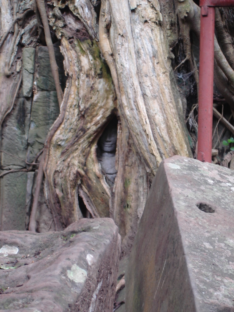 Walking to Cambodia image 16