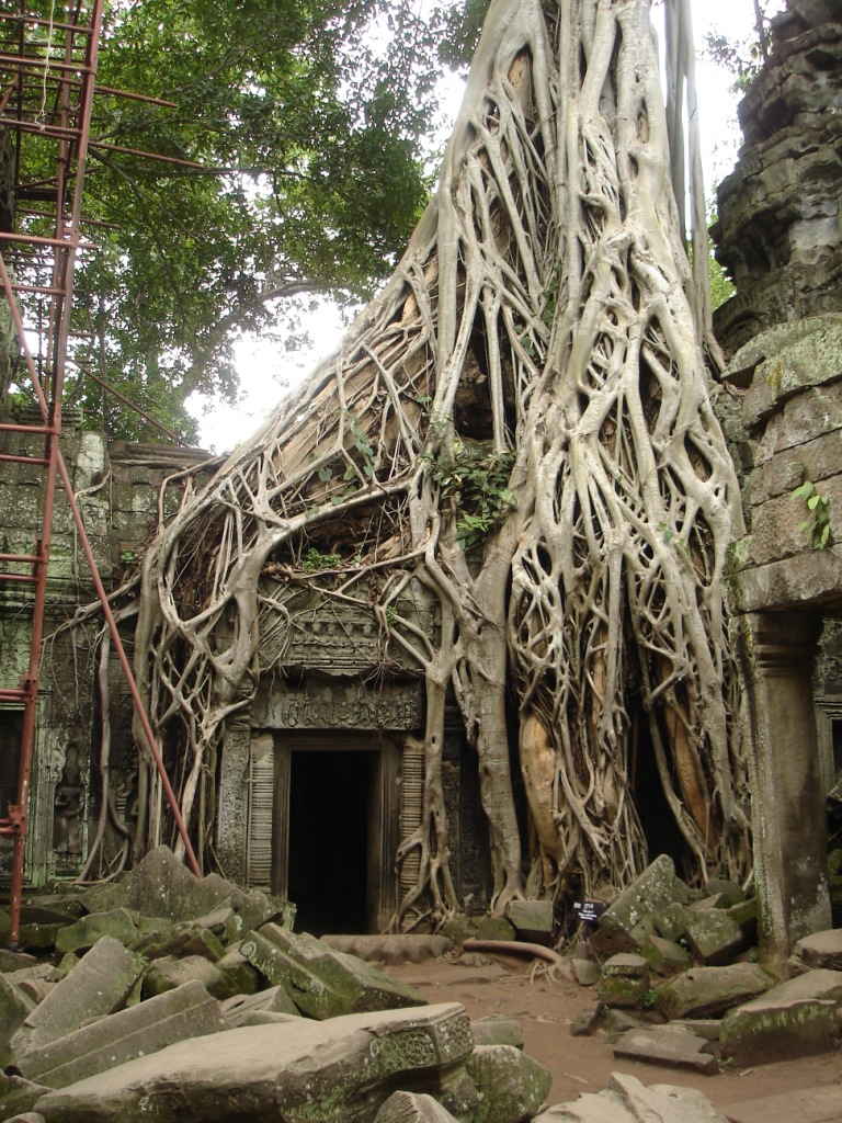 Walking to Cambodia image 15