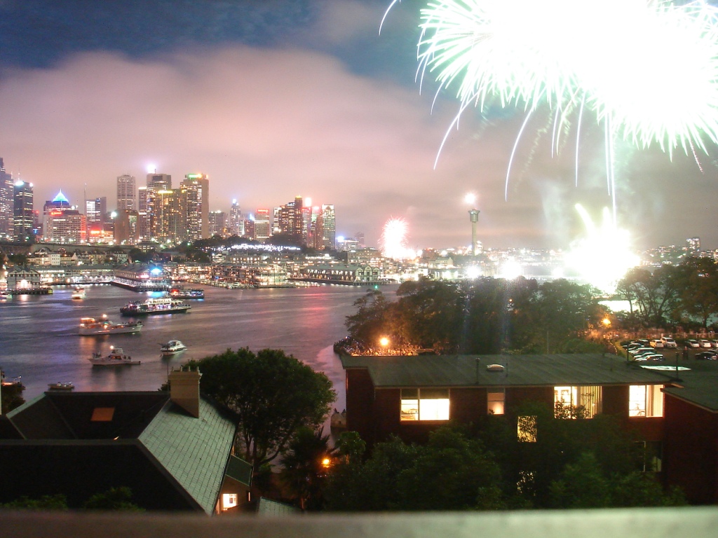 Goodbye 2009, The Adopted Version image 6