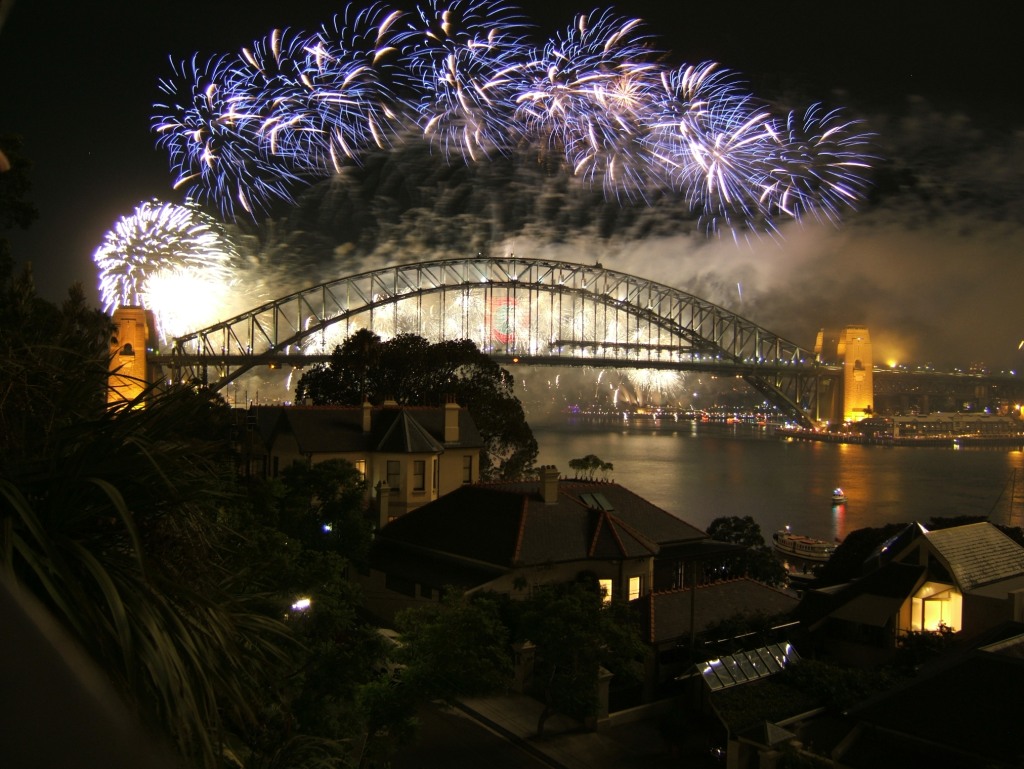 Goodbye 2009, The Adopted Version image 7