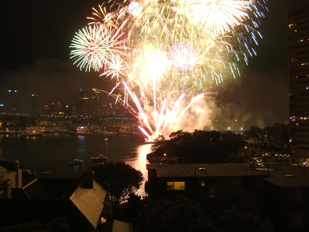 Goodbye 2009, The Adopted Version image 8