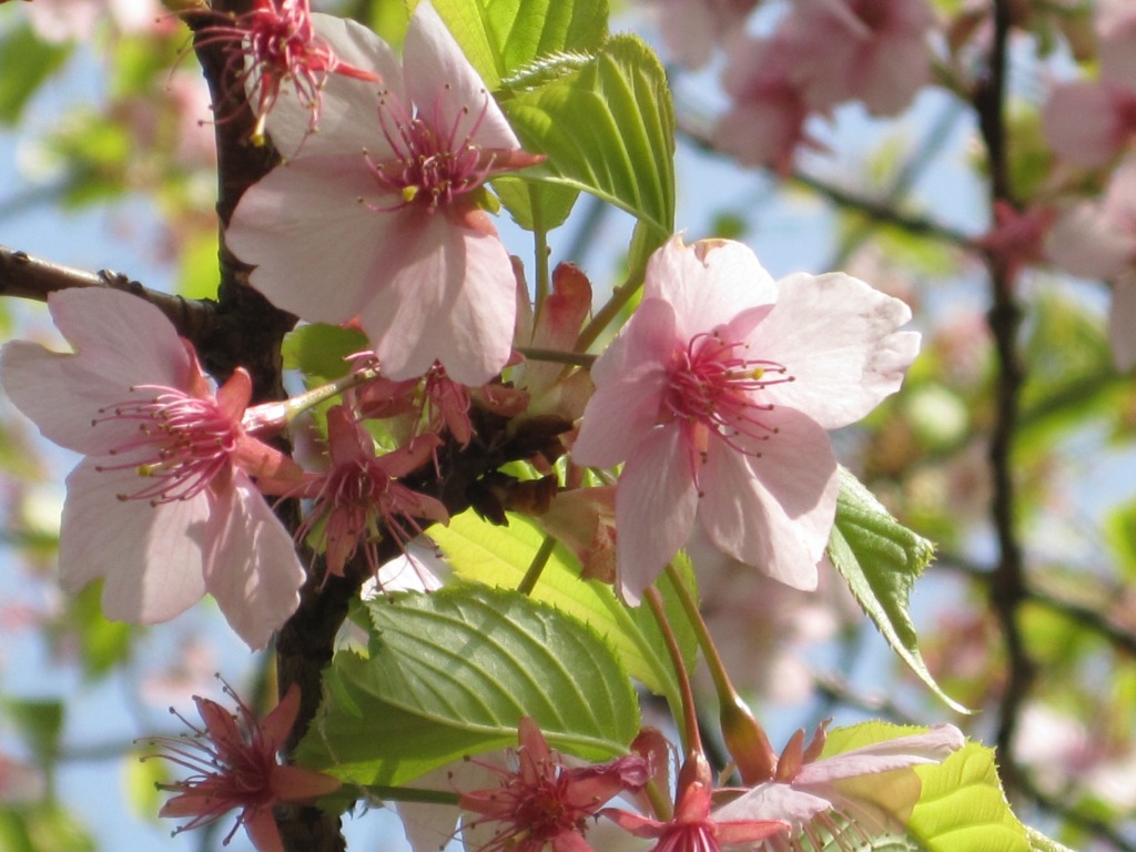 Photos from Japan (2010) image 4