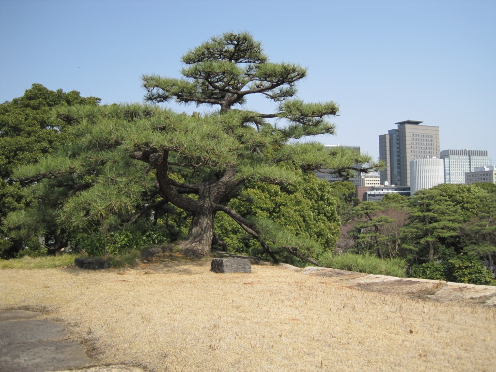 Photos from Japan (2010) image 1