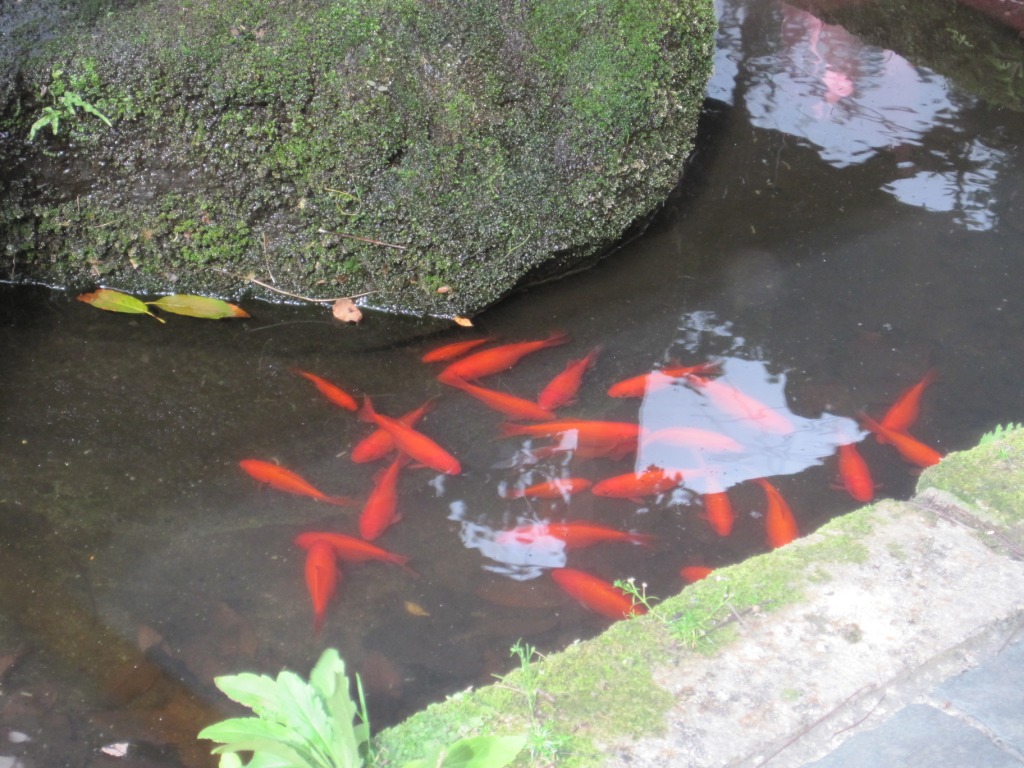 Photos from Japan (2010) image 3