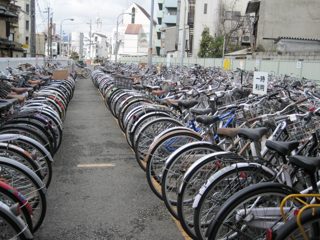 Photos from Japan (2010) image 39