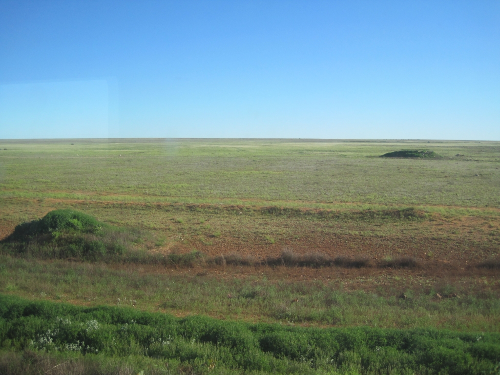 Perth to Sydney (Indian Pacific) image 5