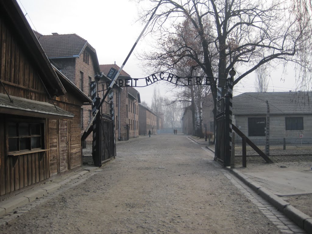 Cold in Krakow image 1