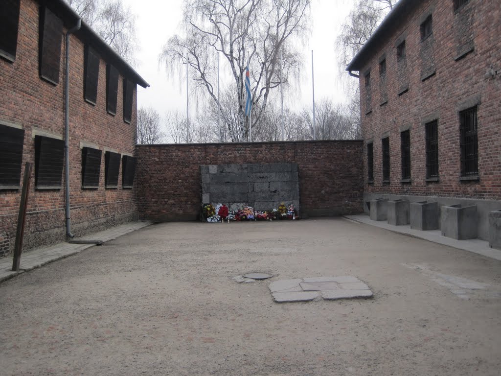Cold in Krakow image 4