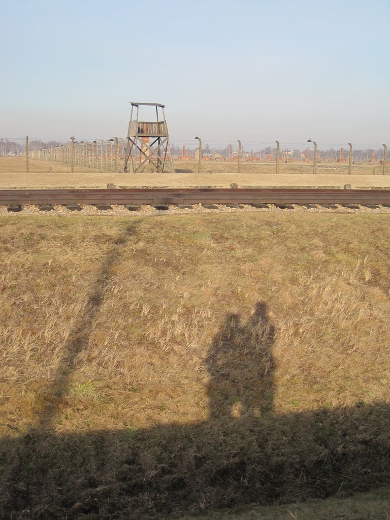 Cold in Krakow image 10
