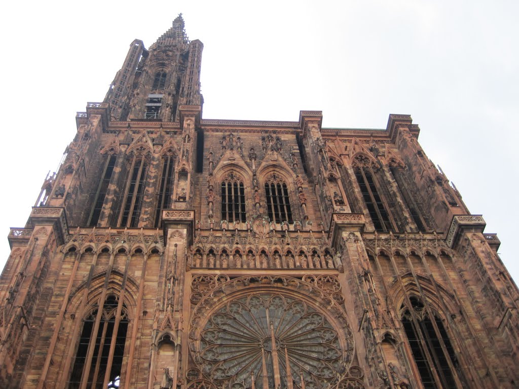Paris to Strasbourg to&mldr; image 3