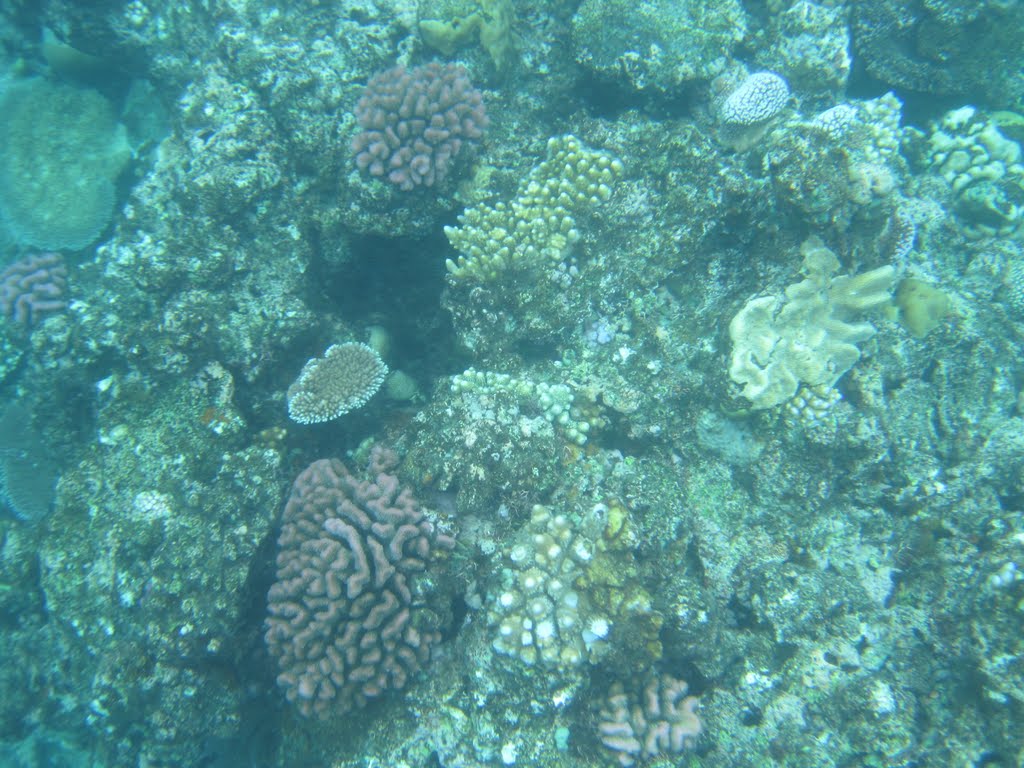 Birthday in Cairns image 5