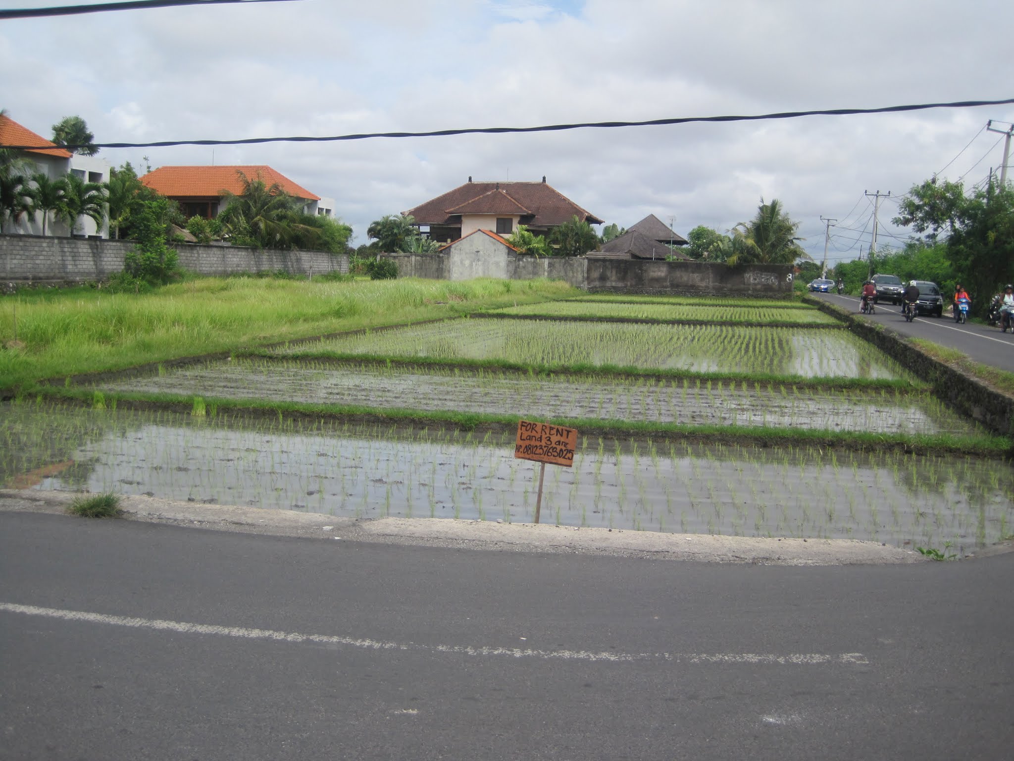 A Few Days in Bali image 8