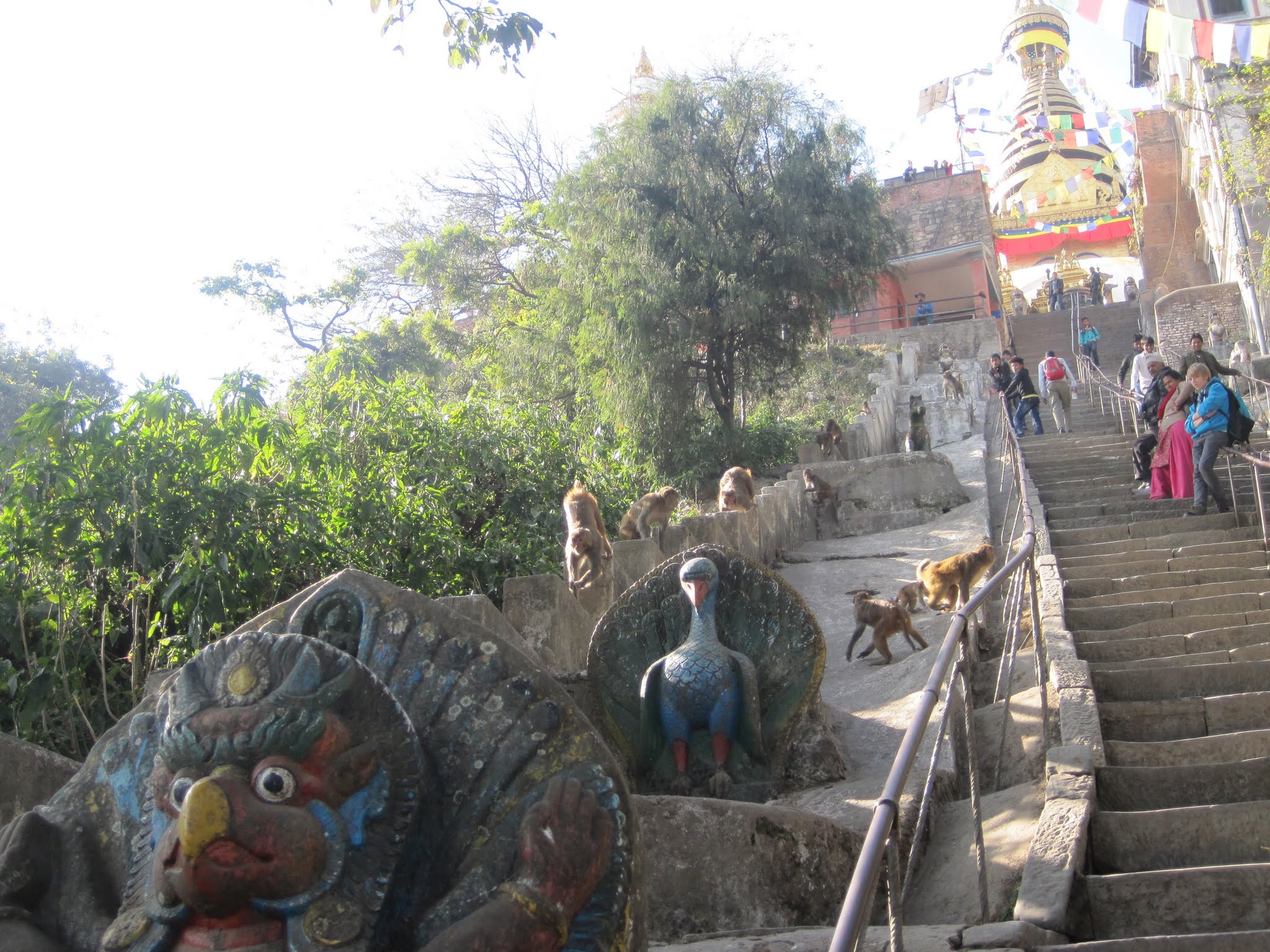 Kathmandu image 13