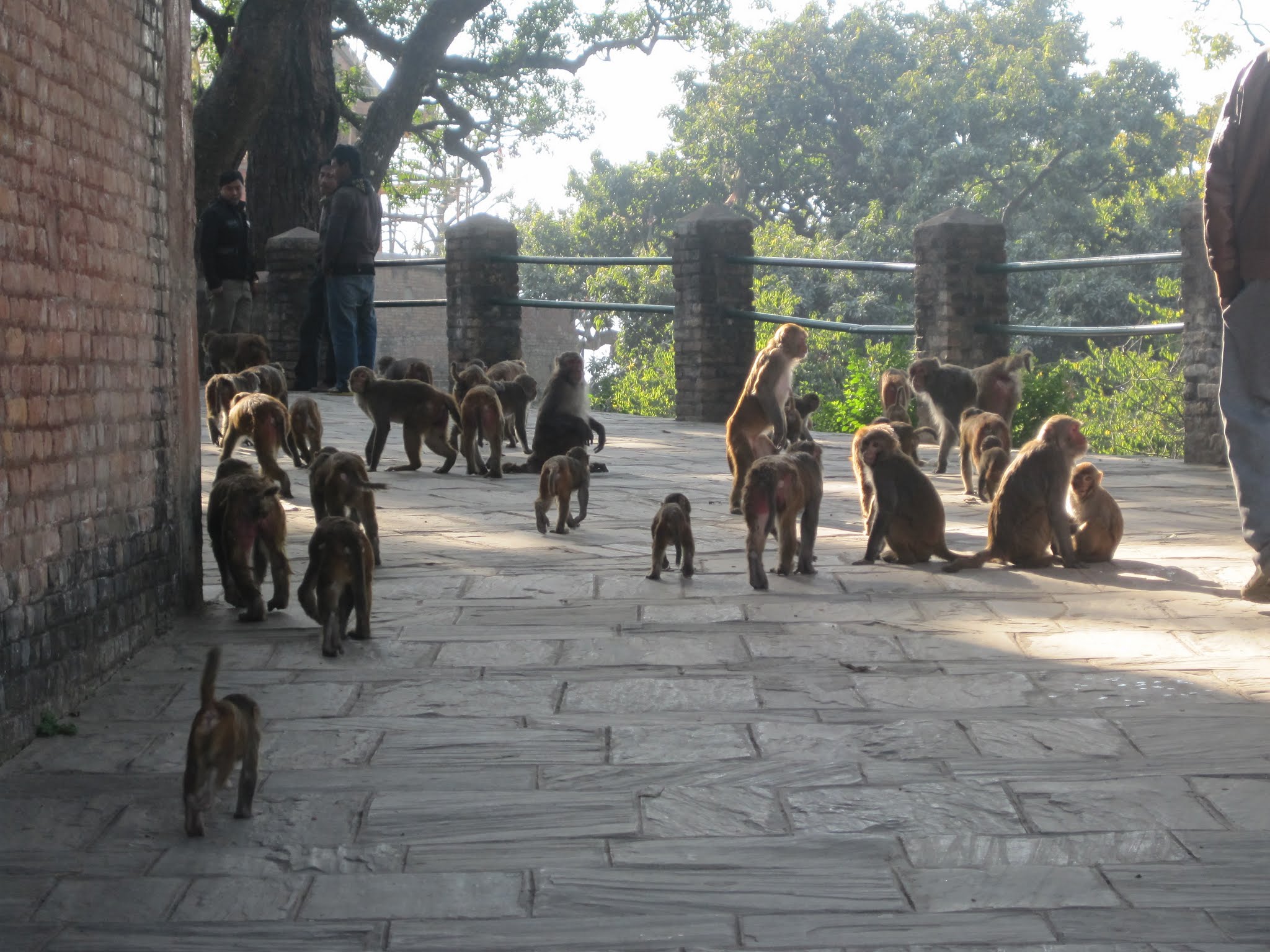 Kathmandu image 14