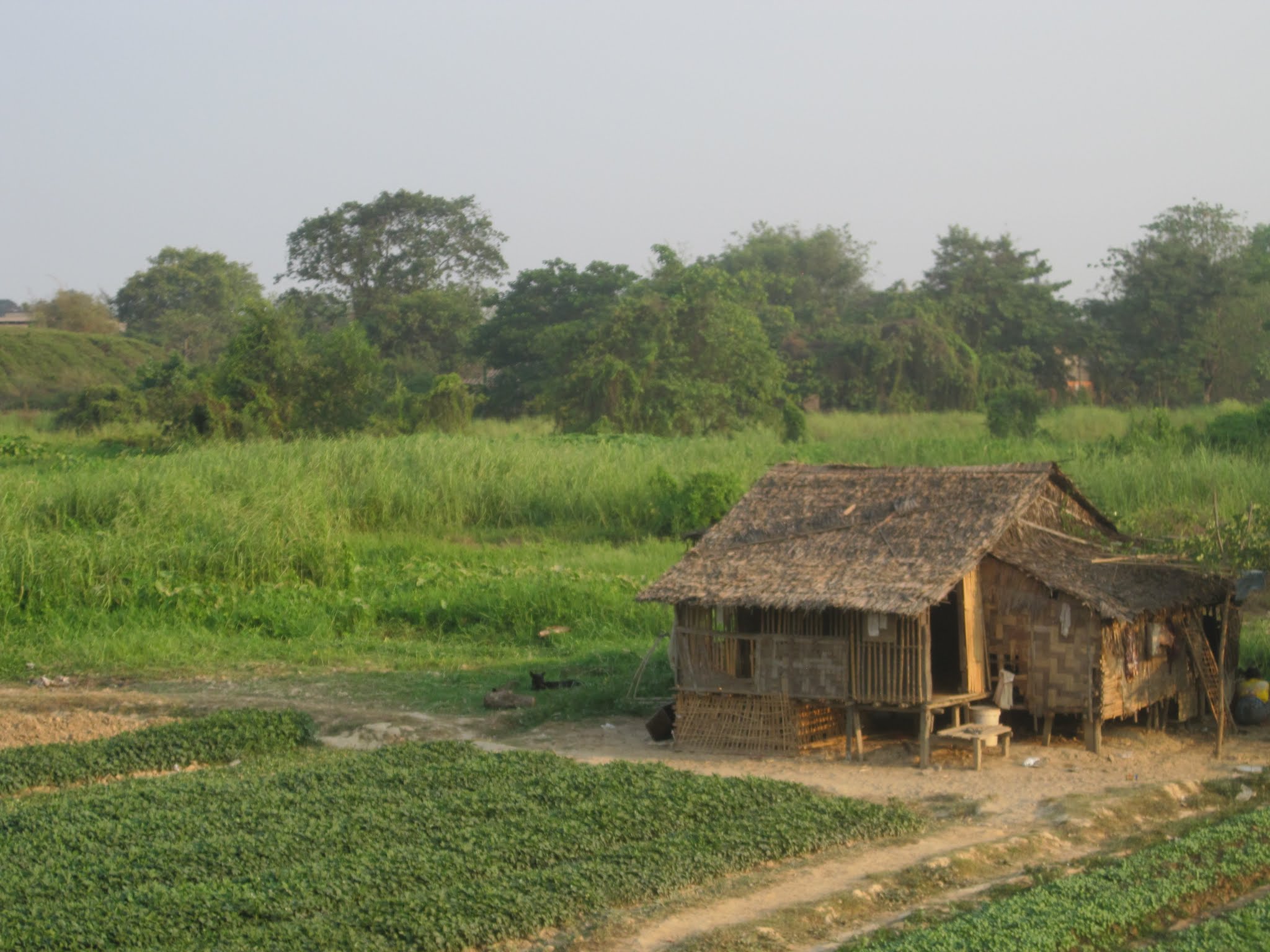 Trip to Myanmar (Day 2 - Yangon) image 2
