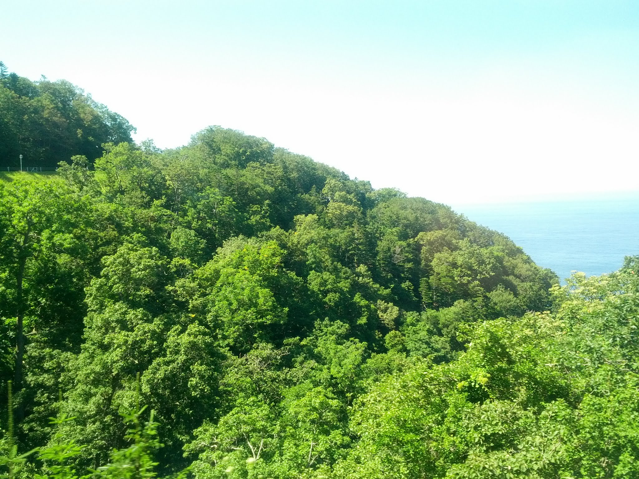 Photos from Japan (2014) image 17