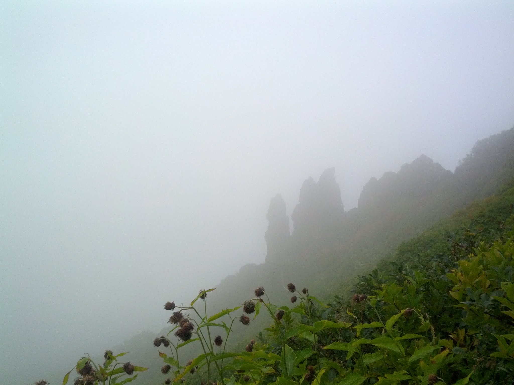 Photos from Japan (2014) image 6