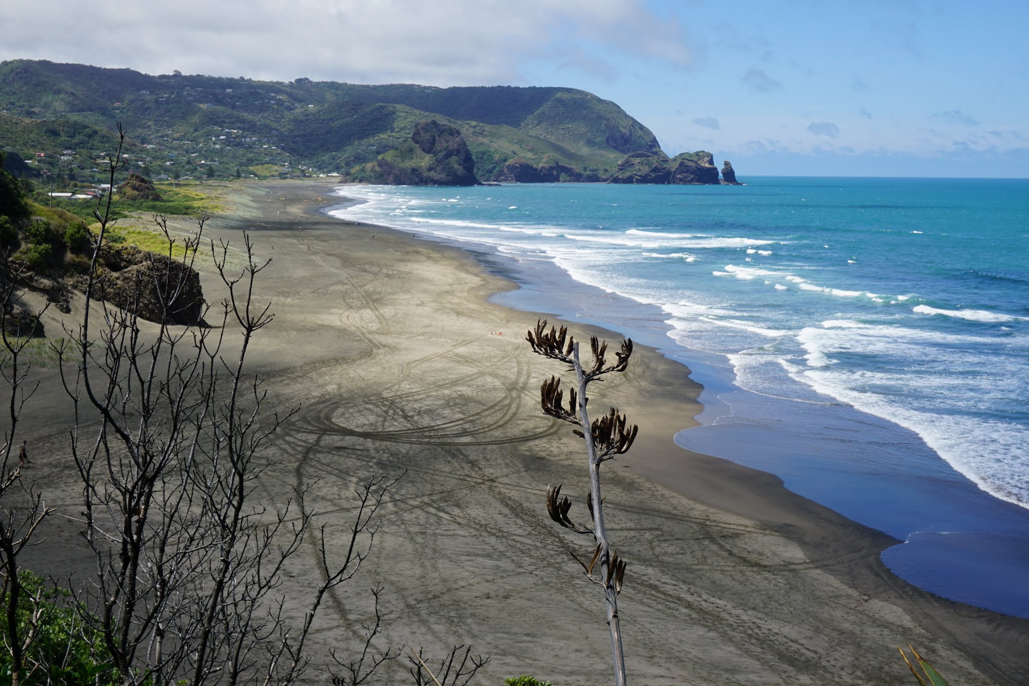 Auckland and Napier image 7