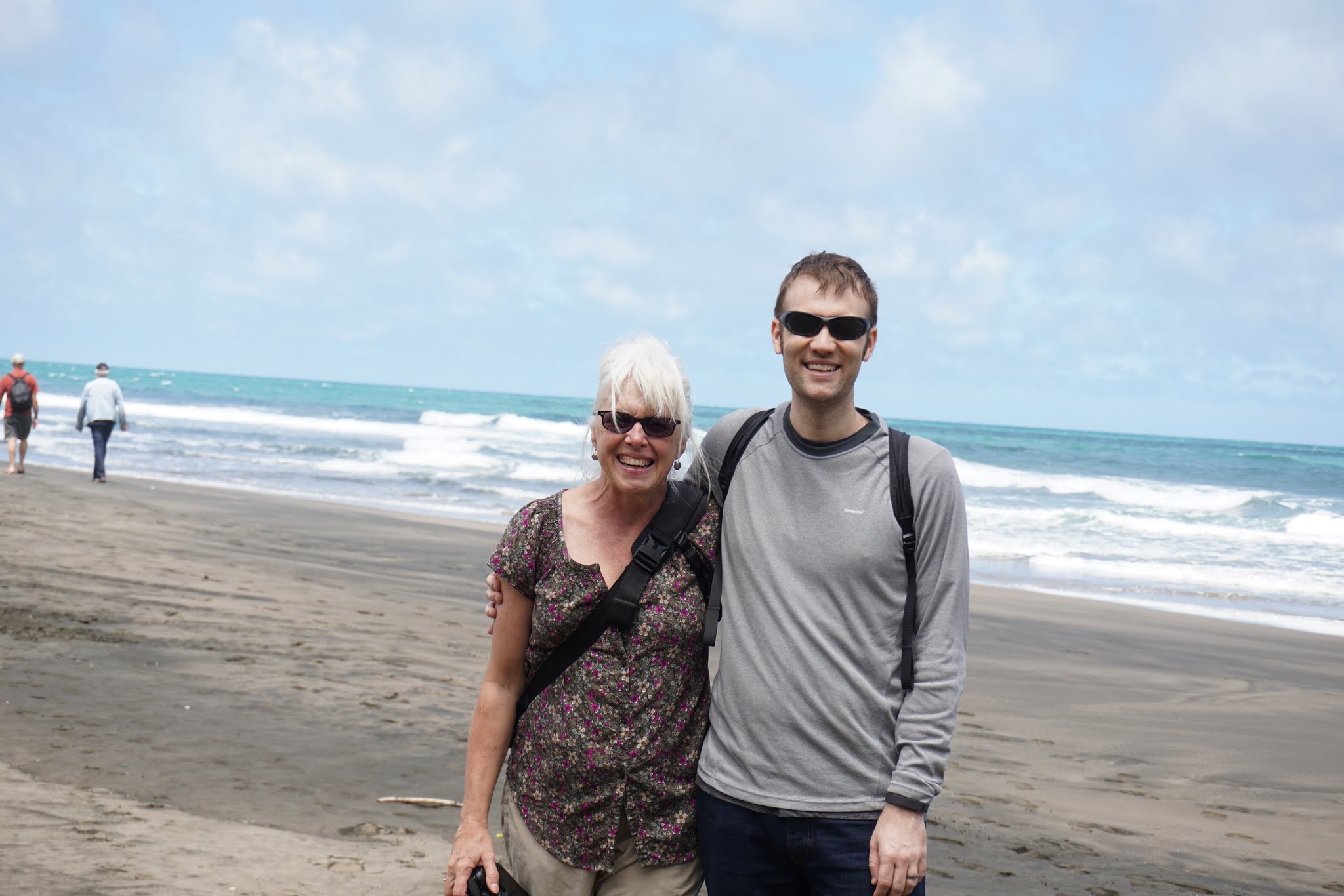 Auckland and Napier image 11