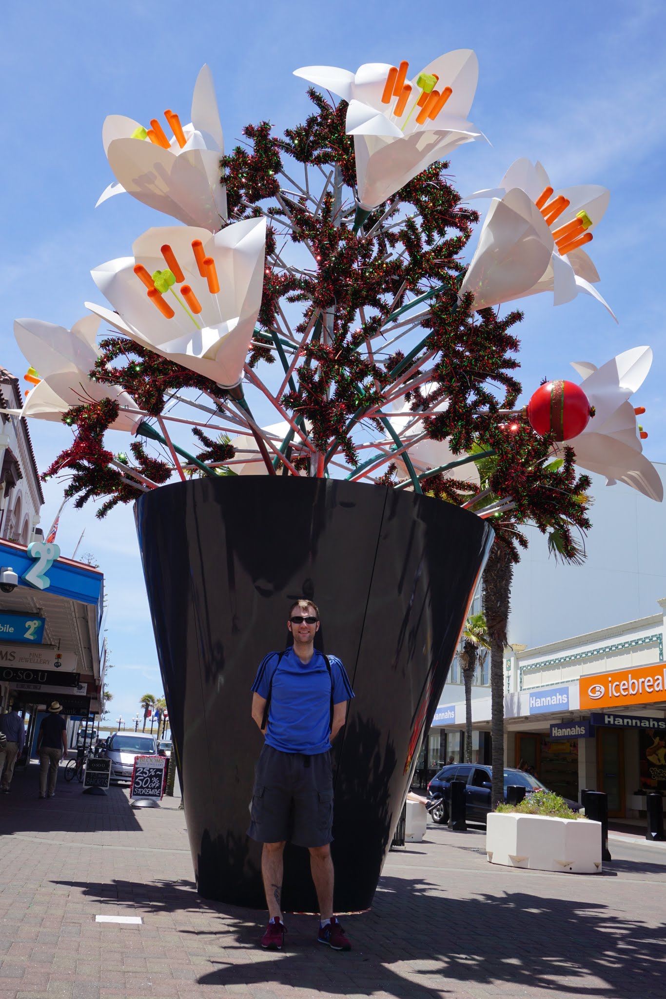 Auckland and Napier image 15
