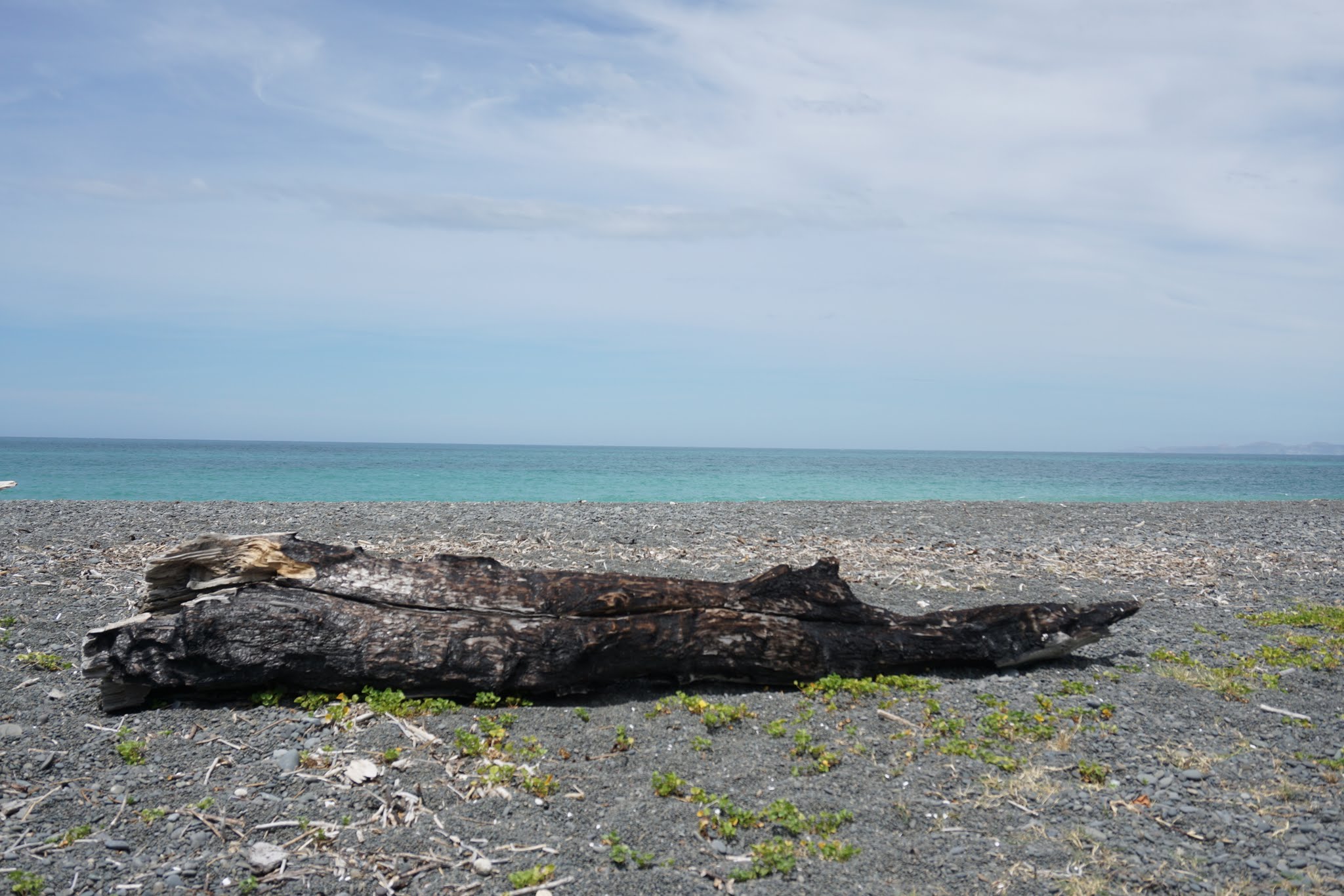 Auckland and Napier image 16