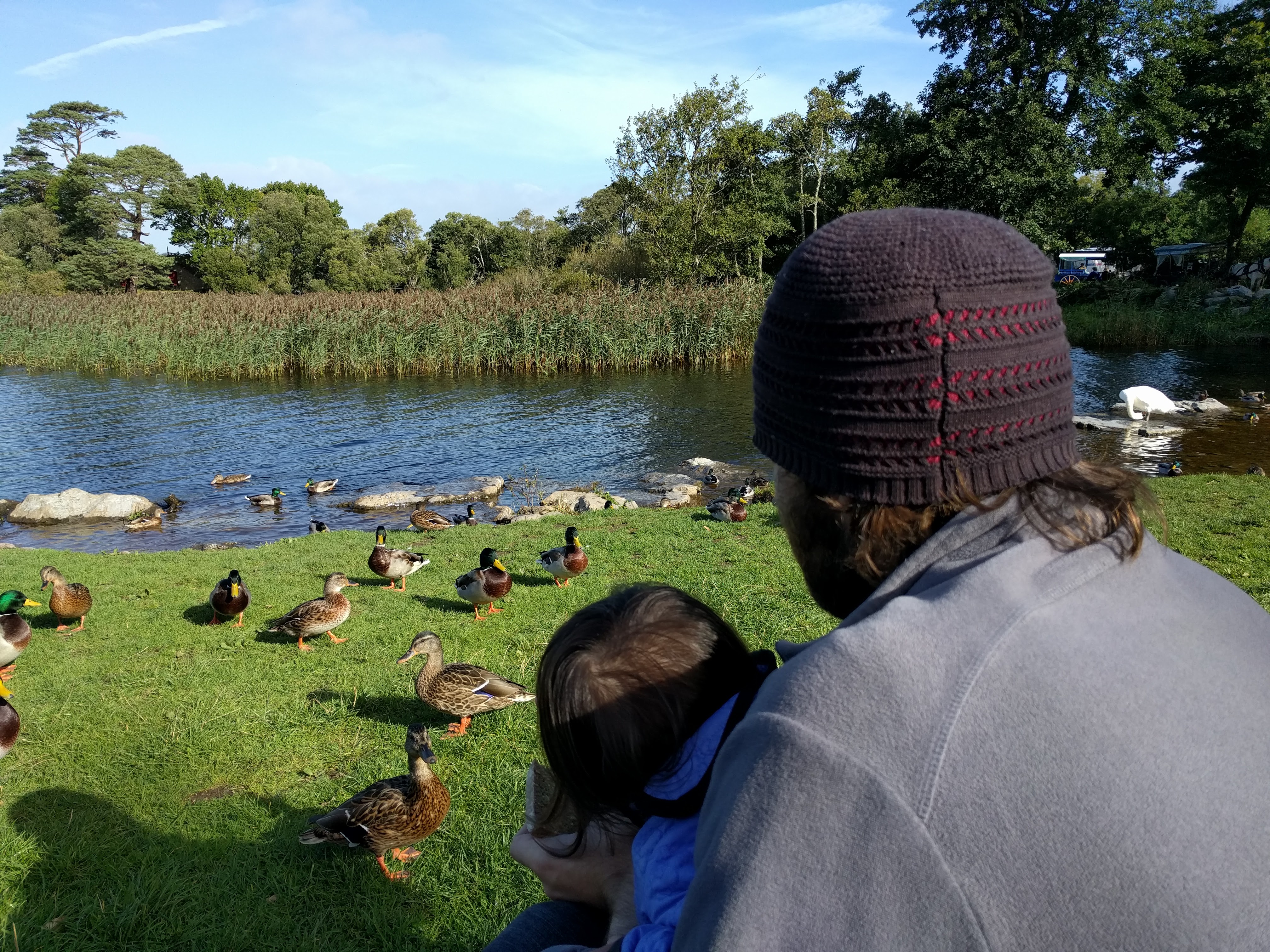 Photos from Ireland (H2 2016) image 1