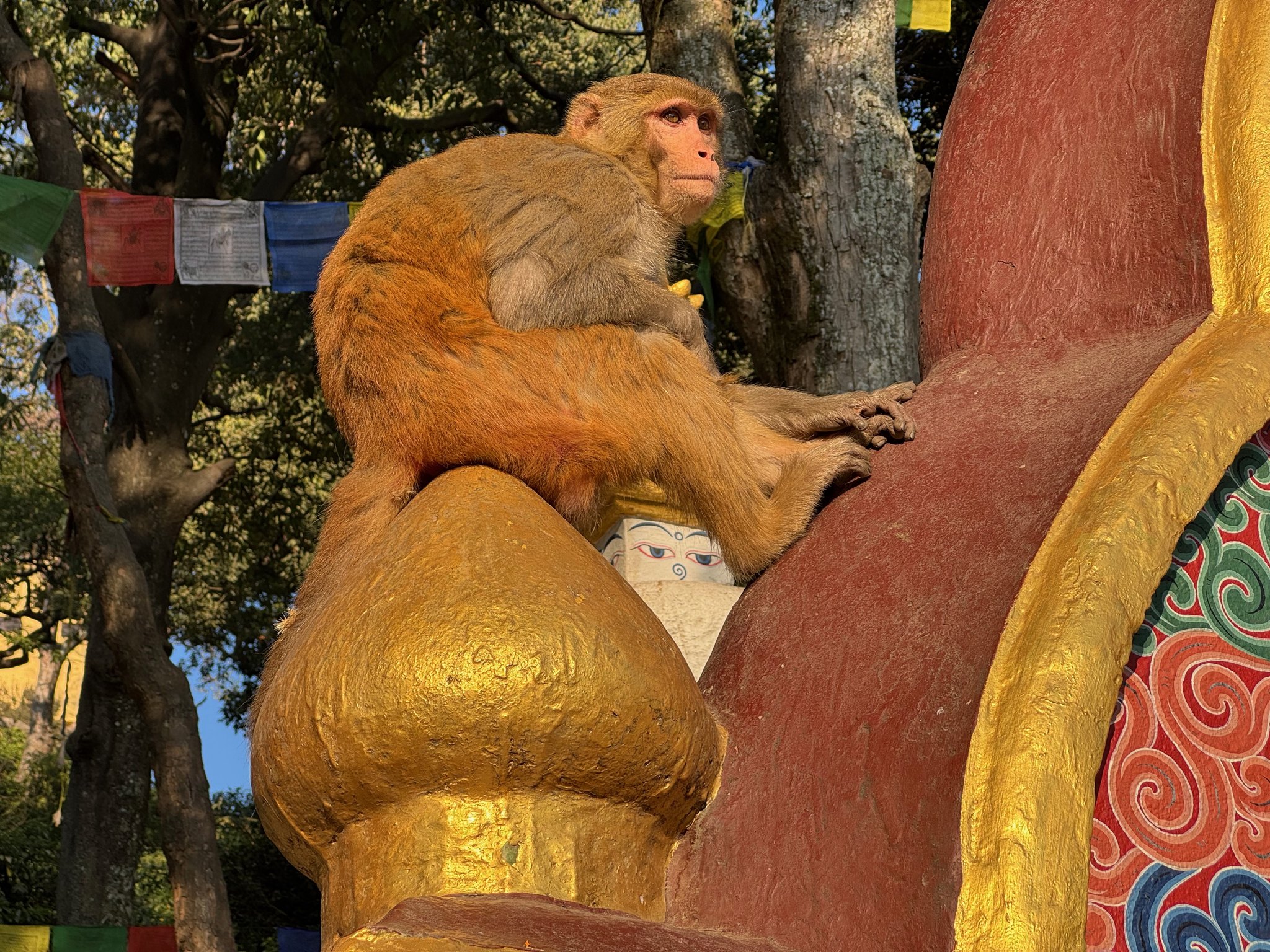 Kathmandu photo 6