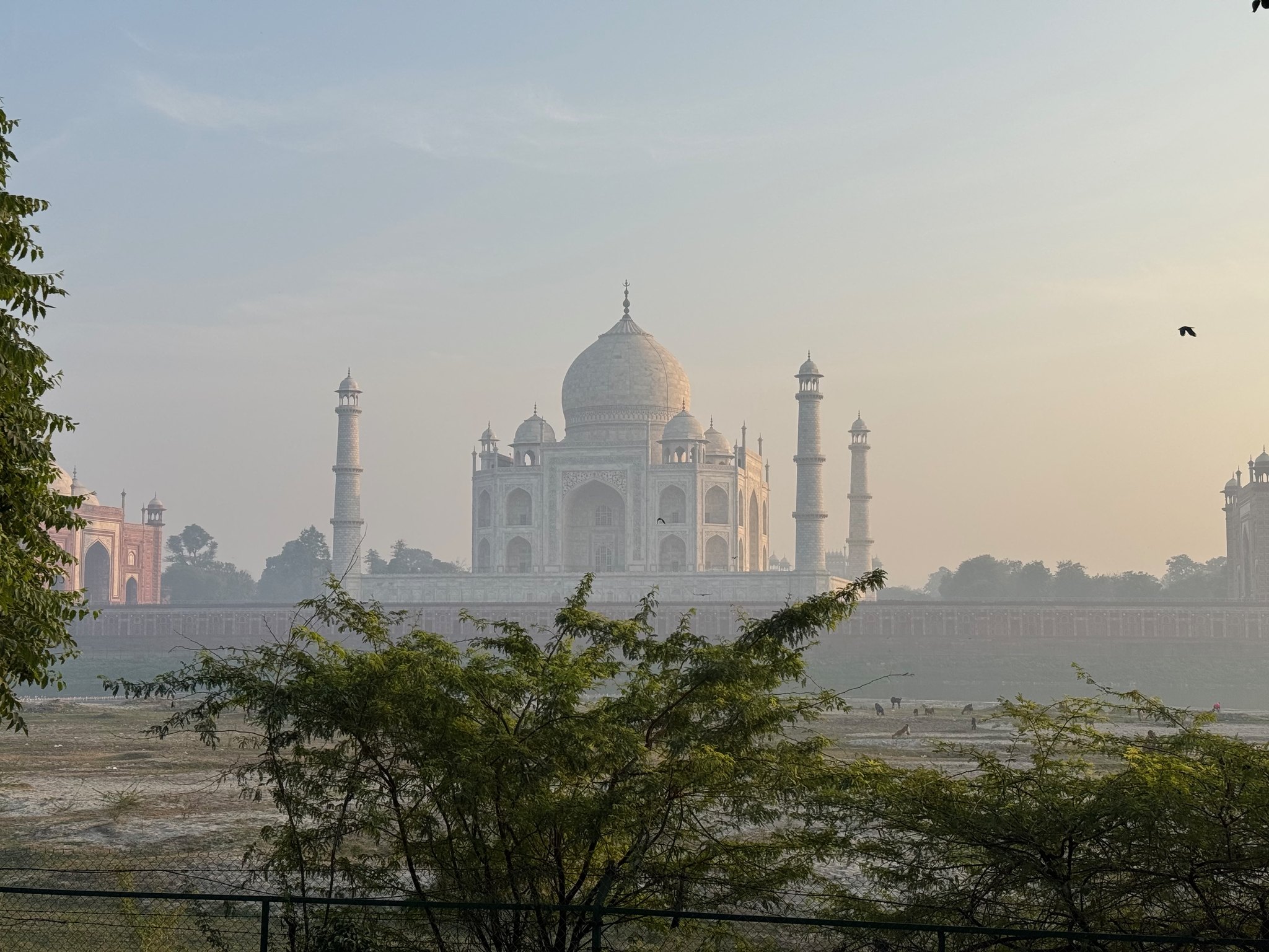 Agra photo 15