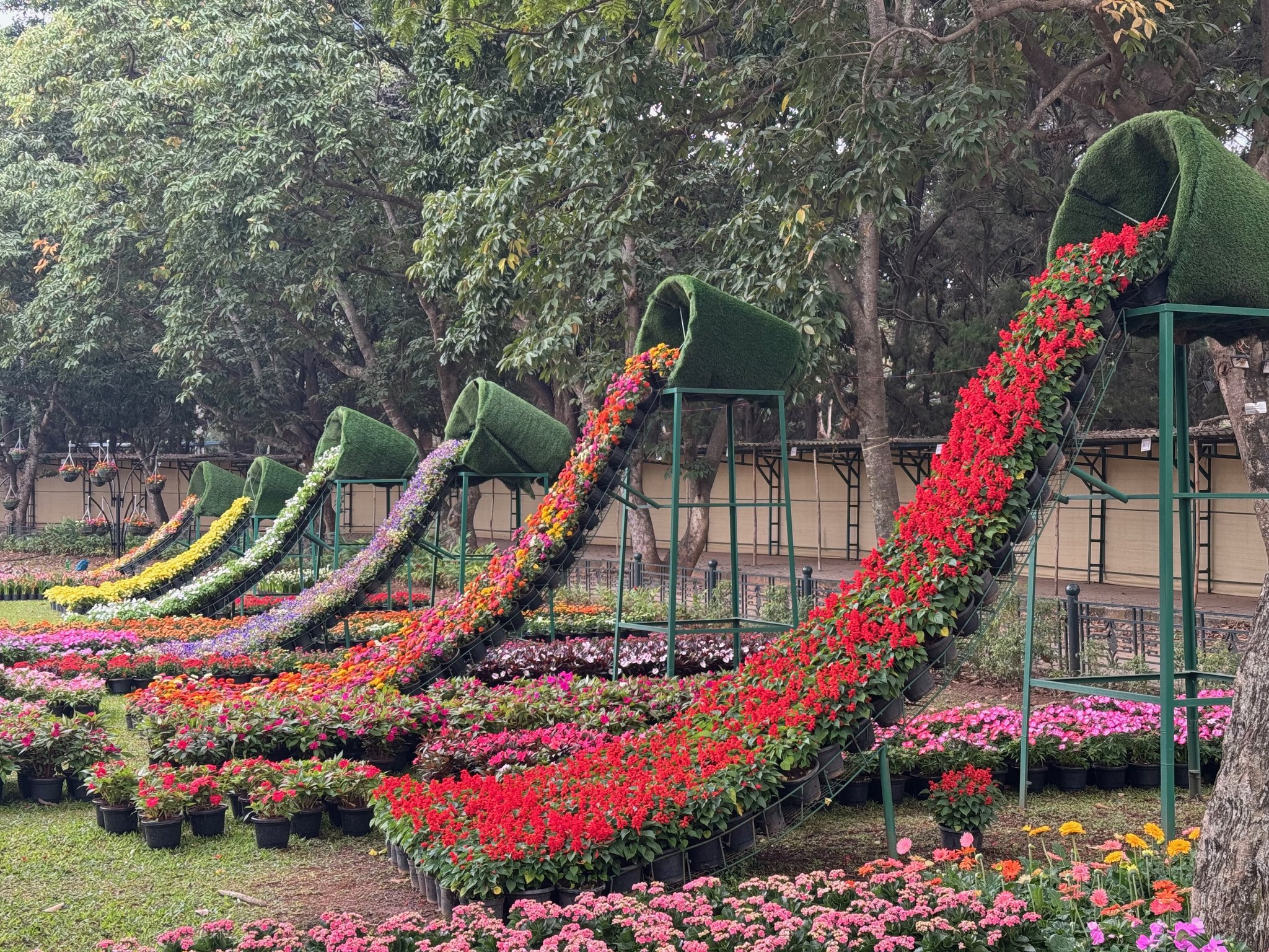 Bangalore photo 6