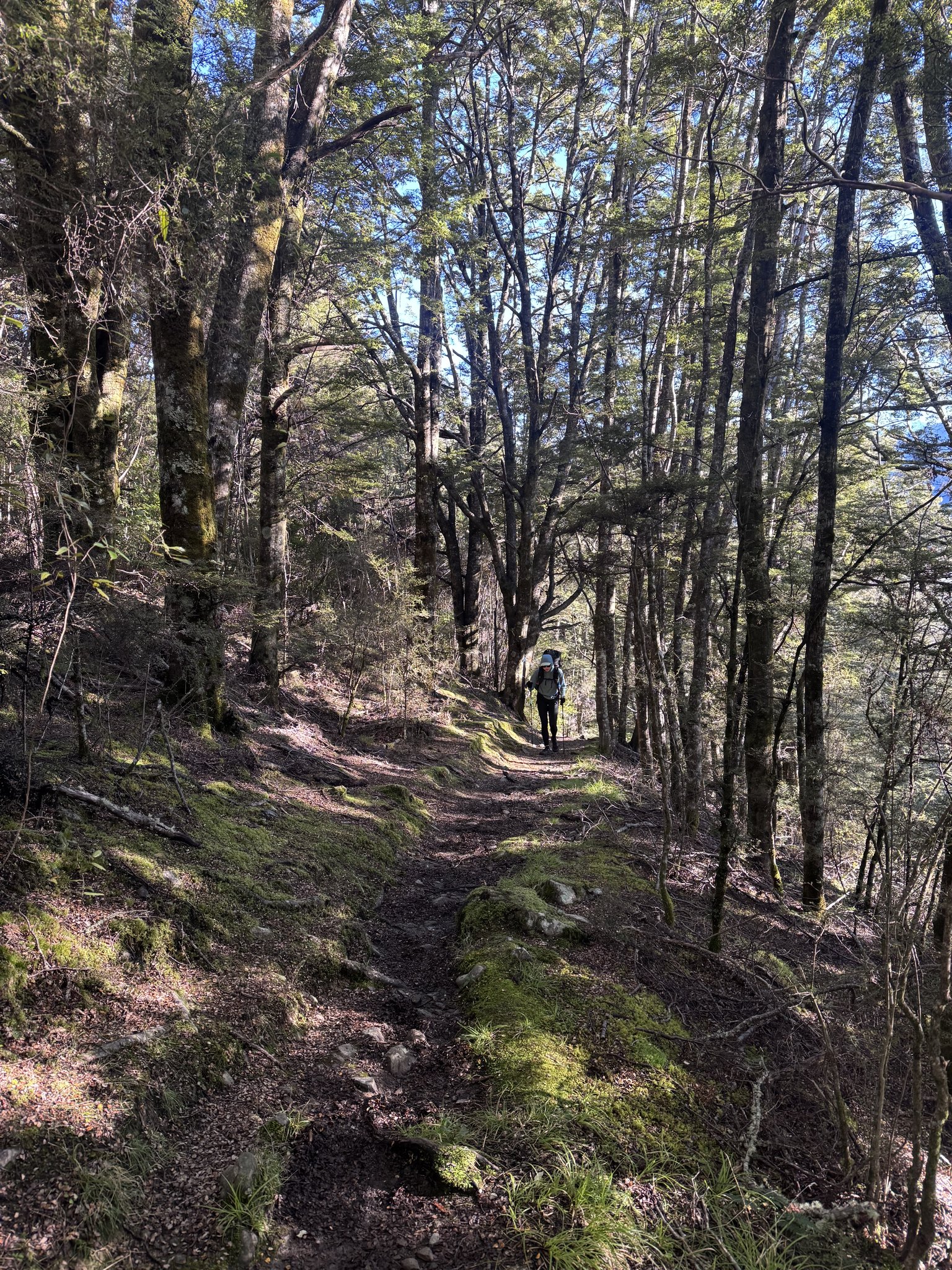 Arthur&rsquo;s Pass photo 9