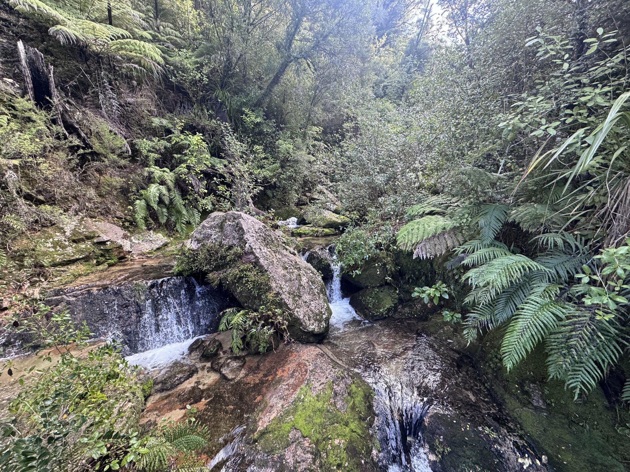 Nelson and Tasman photo 4