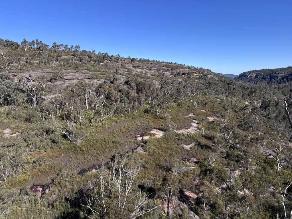 Three Days in the Budawangs image