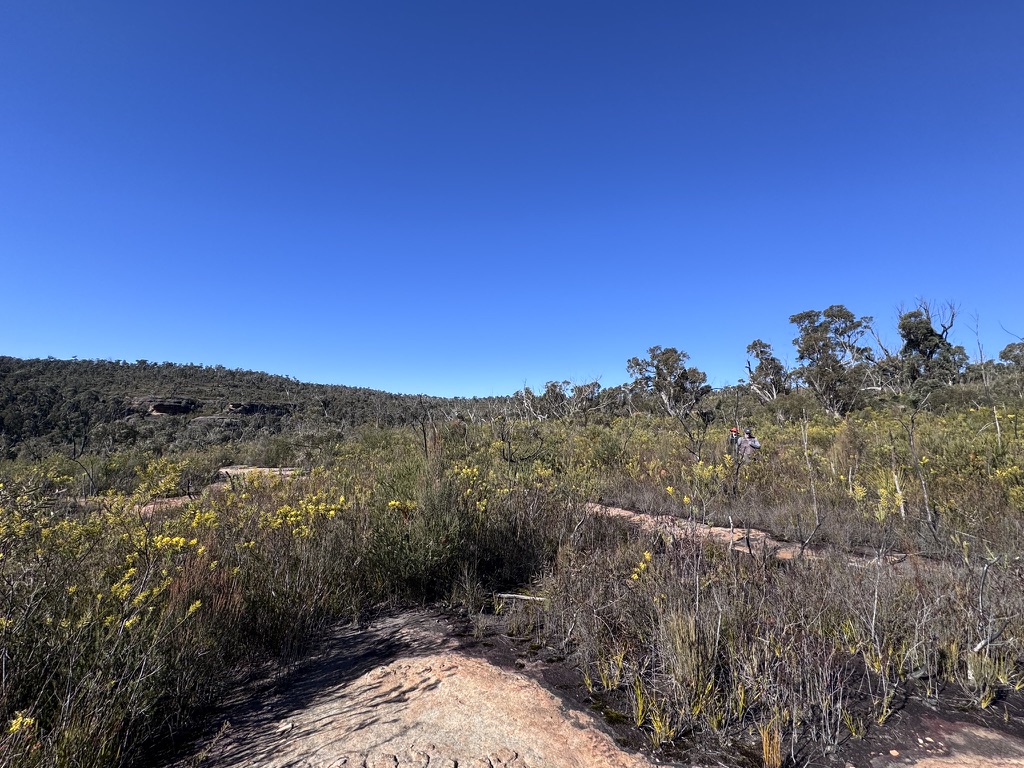 Three Days in the Budawangs image