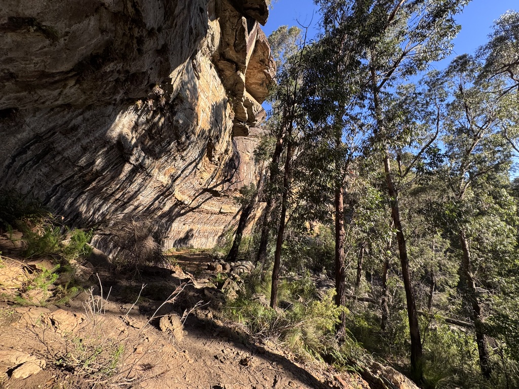 Three Days in the Budawangs image