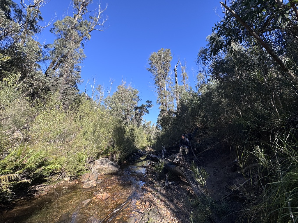 Three Days in the Budawangs image