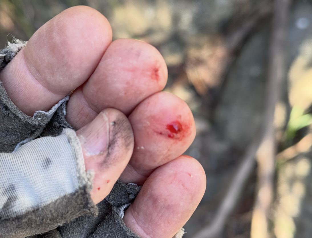 Three Days in the Budawangs image