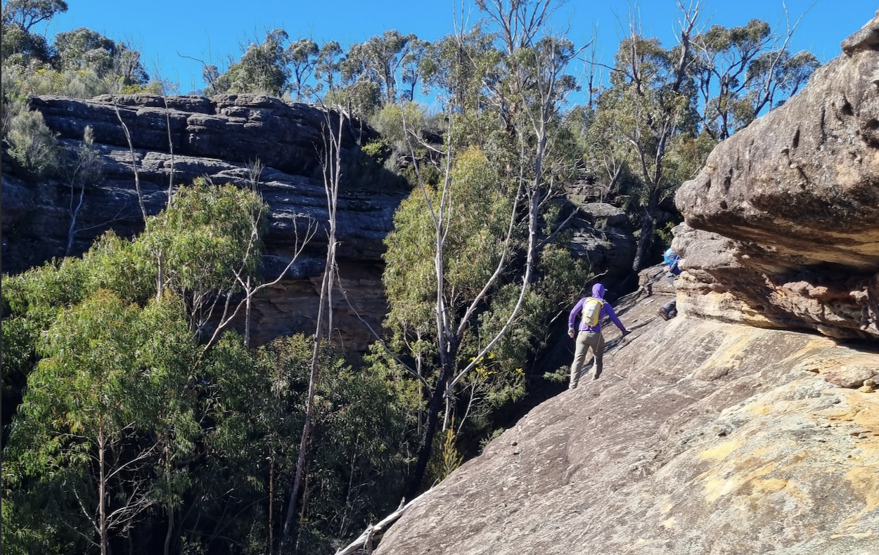Three Days in the Budawangs image